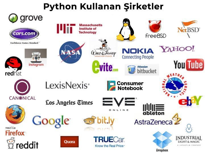 Python Kullanan Uluslararası Şirketler